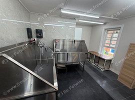 Dog grooming Salon Exeter  - pick up available