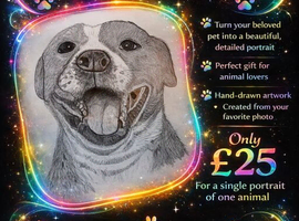 Beautiful Pet Portraits