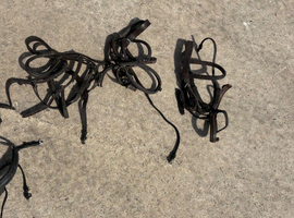 Collection of black and brown bridles