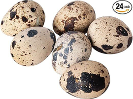 Fertile Jumbo Quail eggs