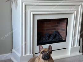 Female French bulldog 5 years