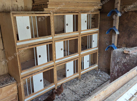 Boxes