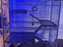 Rodent cage