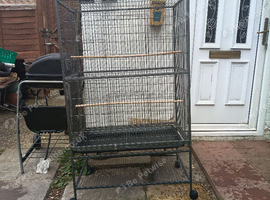 Large Bird cage