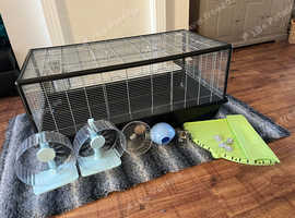 Brand new Savic plaza 120 hamster and mouse cage with accessories