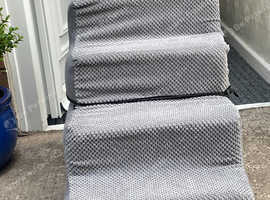 Doggy steps