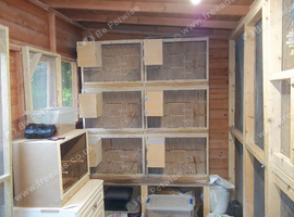 BUDGIE BREEDING CAGES AND NEST BOXES