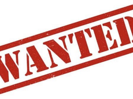Shetland Ponies Wanted Cash Waiting