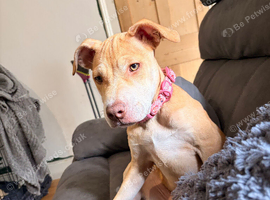 Female girl DOB 27/5/26
