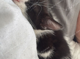 Rocky