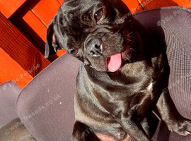 Frug 8 months