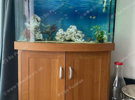 Fish tank
