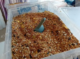 Cage bird parakeet seed mix