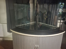 190l jewel corner tank