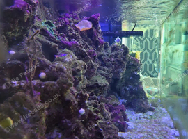 Marine fish tank break down