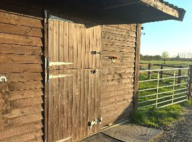 DIY Stables and grazing in barnetby