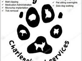 Pet services including microchips