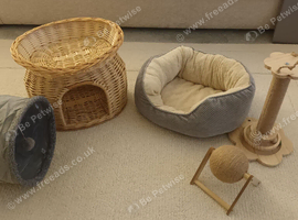Cat beds and toys