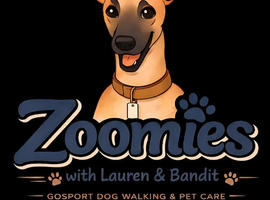 Zoomies - Gosport