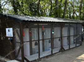 Paces & Paws - Offering Cattery & Pet Services.