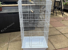 Large White Bird Cage