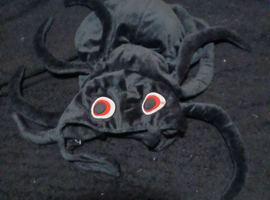 Pets at home Spider dog jacket used once