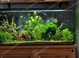 Fluval flex 123l