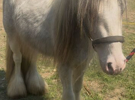 Stunning heavy mini blue blagdon for sale