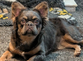 Gorgeous girl available