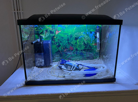 70L superfish tank
