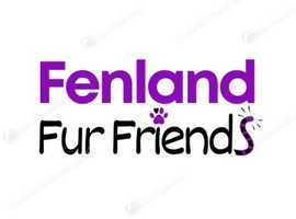 Pet Sitter, Pet House Visits & Dog Walker near Benwick, March