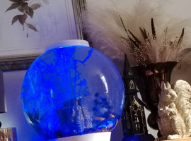 Fish tank for sale