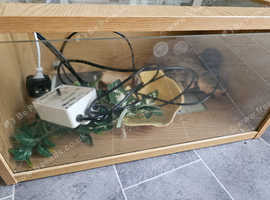 Vivarium. Lighting. Thermostat. Heat pad plus decorations