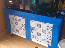 Fish tank and fish