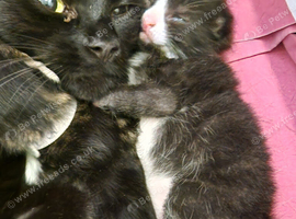 Beautiful Mum and Baby