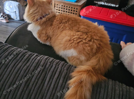 Rehome