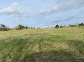 DIY Grazing