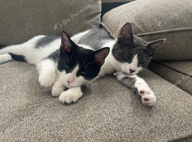 2 beautiful sisters