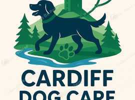 Dog sitting and Walking in and around Cardiff