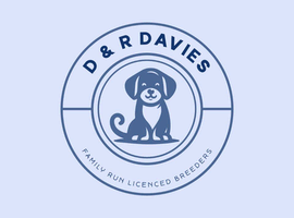 Dog Enrichment Assistant