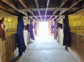 Equestrian yard wanted