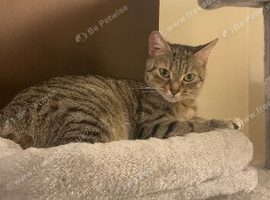 Luna looking for new home