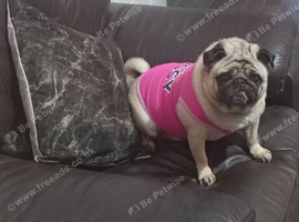 PUG