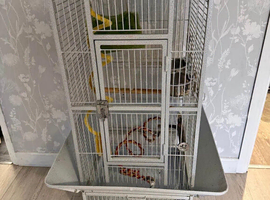 Bird cage
