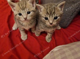 8 Gorgeous babies