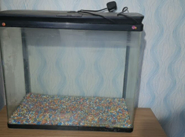 Fish tank and gravel