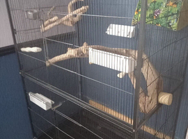 Large birdcage for sale