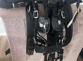 Pony harness
