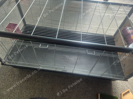 Big Hamster cage set up