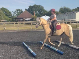 Ultimate Barbie pony